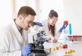 AdobeStock_280711046-1-1024x699